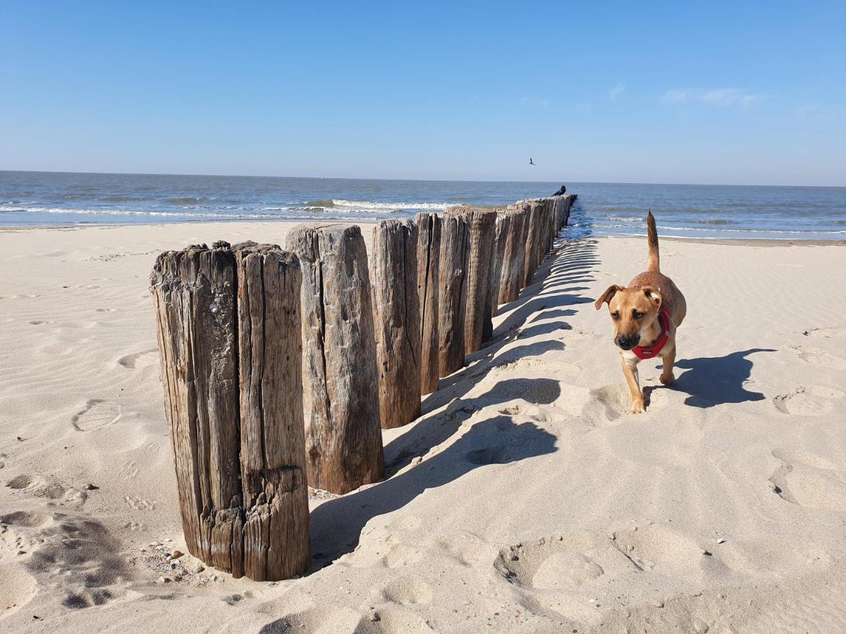BONNIES Beach&Spa DuinNest Cadzand Exterior foto